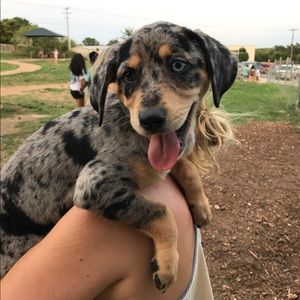 Meet your Posher, Courtnee